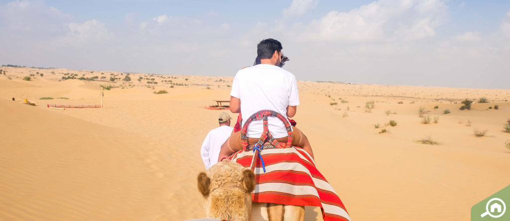 Dubai desert safari is a perfect idea