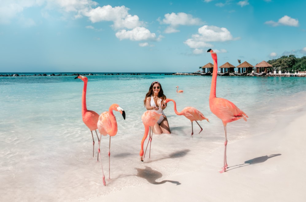 Top 10 Fun-Filled Adventures in Aruba for Your Next Vacation
